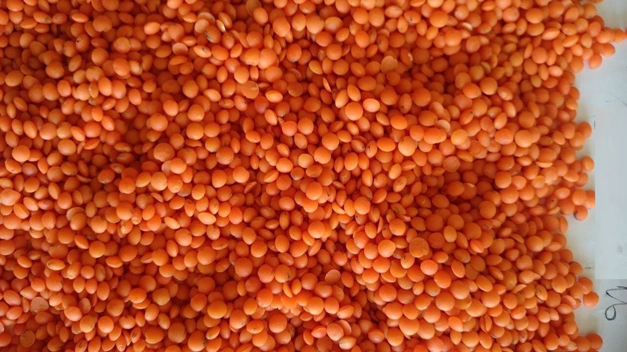 CHICKPEAS_ LENTILS_ KIDNEY BEANS_ PULSES AND CEREALS
